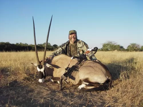 39 inch Gemsbuck